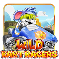 Wild Kart Racers